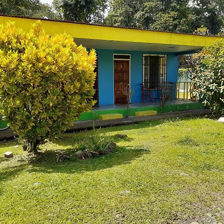 Magic Flower Rooms Cahuita Extérieur photo